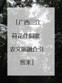 广西三江：荷花伴侗歌 农文旅融合引客来