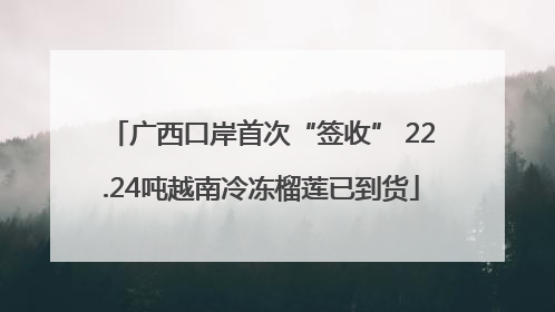 广西口岸首次“签收” 22.24吨越南冷冻榴莲已到货