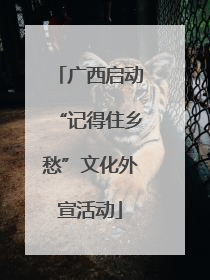 广西启动“记得住乡愁”文化外宣活动