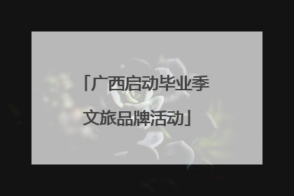 广西启动毕业季文旅品牌活动