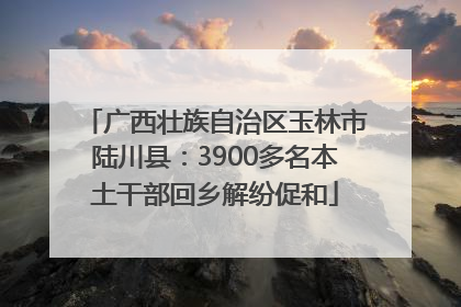 广西壮族自治区玉林市陆川县：3900多名本土干部回乡解纷促和