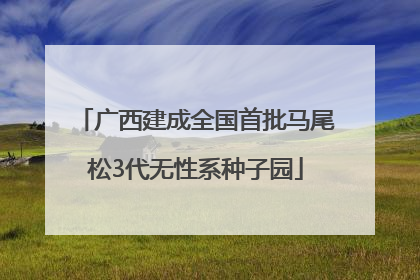 广西建成全国首批马尾松3代无性系种子园