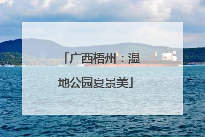 广西梧州：湿地公园夏景美
