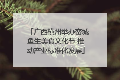 广西横州举办峦城鱼生美食文化节 推动产业标准化发展