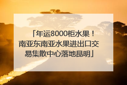 年运8000柜水果！南亚东南亚水果进出口交易集散中心落地昆明