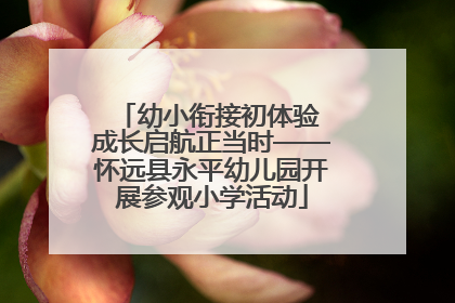 幼小衔接初体验 成长启航正当时——怀远县永平幼儿园开展参观小学活动