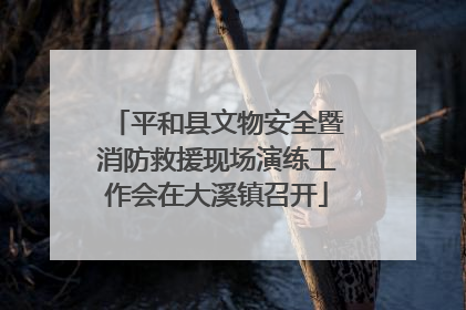 平和县文物安全暨消防救援现场演练工作会在大溪镇召开