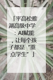 平高松雅湖高级中学：AI赋能，让每个孩子都是“重点学生”