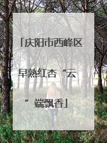 庆阳市西峰区 早熟红杏“云”端飘香