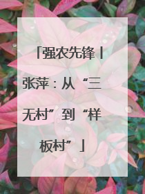 强农先锋丨张萍：从“三无村”到“样板村”
