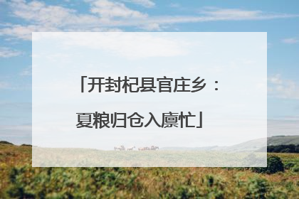 开封杞县官庄乡：夏粮归仓入廪忙