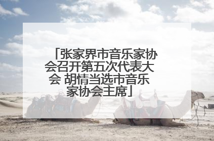 张家界市音乐家协会召开第五次代表大会 胡情当选市音乐家协会主席