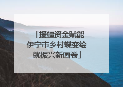 援疆资金赋能 伊宁市乡村蝶变绘就振兴新画卷