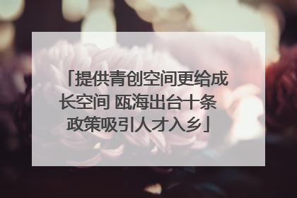 提供青创空间更给成长空间 瓯海出台十条政策吸引人才入乡