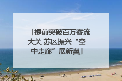 提前突破百万客流大关 苏区振兴“空中走廊”展新翼