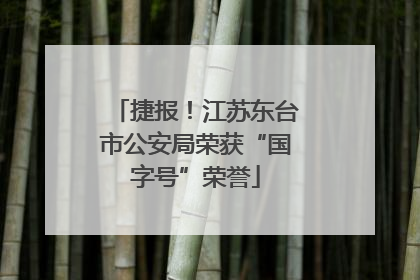 捷报！江苏东台市公安局荣获“国字号”荣誉