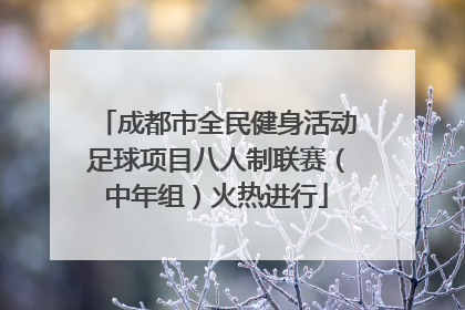 成都市全民健身活动足球项目八人制联赛（中年组）火热进行