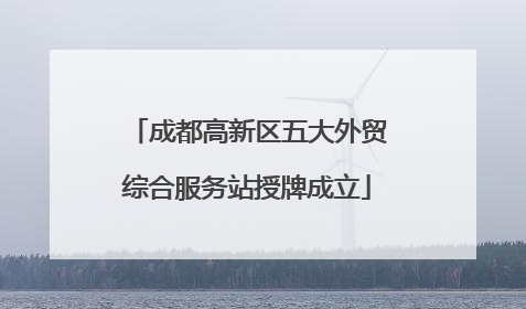 成都高新区五大外贸综合服务站授牌成立