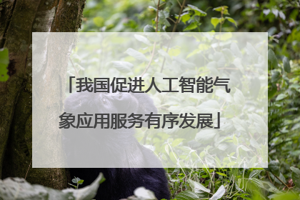 我国促进人工智能气象应用服务有序发展