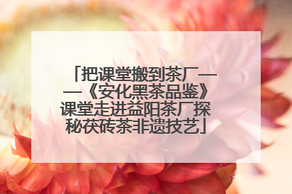 把课堂搬到茶厂——《安化黑茶品鉴》课堂走进益阳茶厂探秘茯砖茶非遗技艺