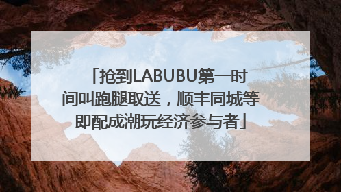 抢到LABUBU第一时间叫跑腿取送，顺丰同城等即配成潮玩经济参与者