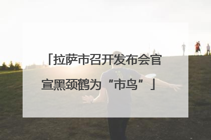 拉萨市召开发布会官宣黑颈鹤为“市鸟”