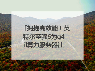 拥抱高效能！英特尔至强6为g4il算力服务器注入强大动力
