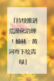 持续推进荒漠化治理！榆林：黄河弯下绘青绿