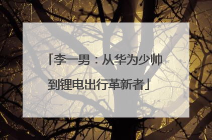 李一男：从华为少帅到锂电出行革新者