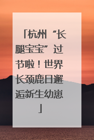 杭州“长腿宝宝”过节啦！世界长颈鹿日邂逅新生幼崽