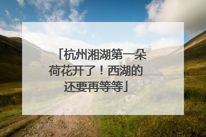 杭州湘湖第一朵荷花开了！西湖的还要再等等