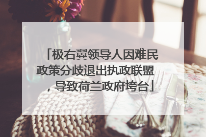 极右翼领导人因难民政策分歧退出执政联盟，导致荷兰政府垮台