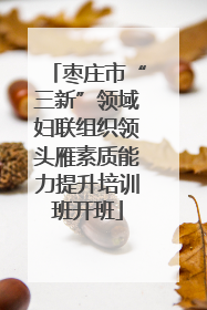 枣庄市“三新”领域妇联组织领头雁素质能力提升培训班开班