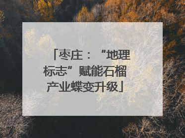 枣庄：“地理标志”赋能石榴产业蝶变升级
