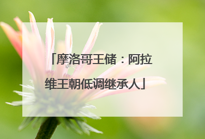 摩洛哥王储：阿拉维王朝低调继承人