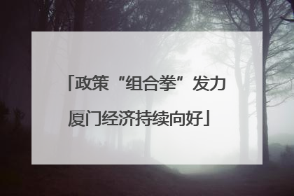 政策“组合拳”发力 厦门经济持续向好