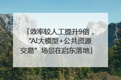 效率较人工提升9倍，“AI大模型+公共资源交易”场景在启东落地
