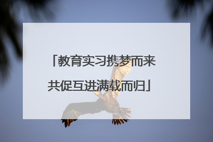 教育实习携梦而来 共促互进满载而归