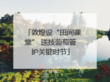 敦煌设“田间课堂” 送技葡萄管护关键时节