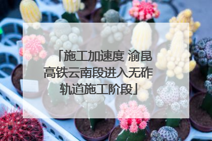 施工加速度 渝昆高铁云南段进入无砟轨道施工阶段