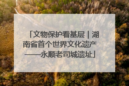 文物保护看基层｜湖南省首个世界文化遗产——永顺老司城遗址