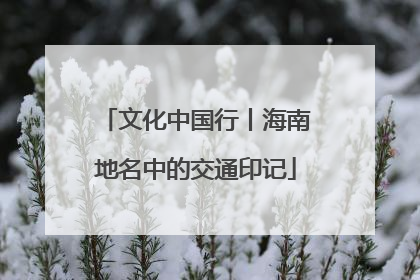 文化中国行丨海南地名中的交通印记