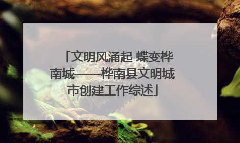 文明风涌起 蝶变桦南城——桦南县文明城市创建工作综述