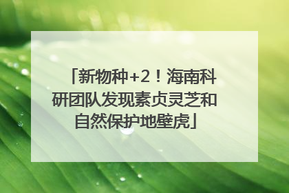新物种+2！海南科研团队发现素贞灵芝和自然保护地壁虎