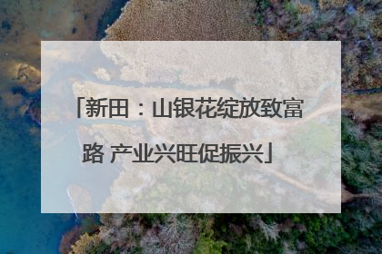 新田：山银花绽放致富路 产业兴旺促振兴