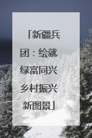 新疆兵团：绘就绿富同兴乡村振兴新图景