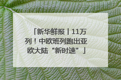 新华鲜报丨11万列！中欧班列跑出亚欧大陆“新时速”