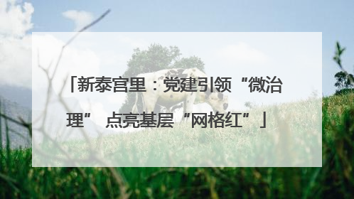 新泰宫里：党建引领“微治理” 点亮基层“网格红”