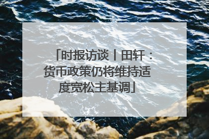 时报访谈丨田轩：货币政策仍将维持适度宽松主基调