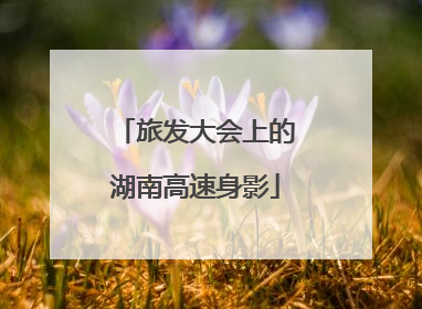 旅发大会上的湖南高速身影